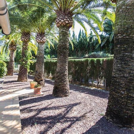 Finca Pepe 2 Hotel Denia Ngoại thất bức ảnh